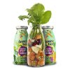 SmoothieDog - Zöldséges , 250ml